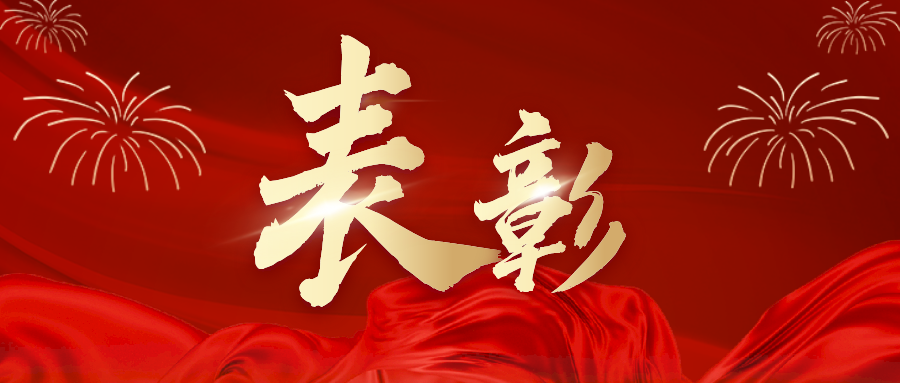 總局1名個(gè)人1個(gè)集體榮獲中央企業(yè)“兩優(yōu)一先”表彰